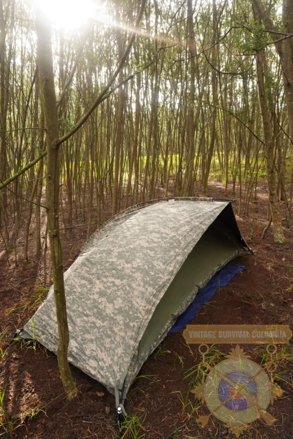 Carpa Americana ICS ORC Industries