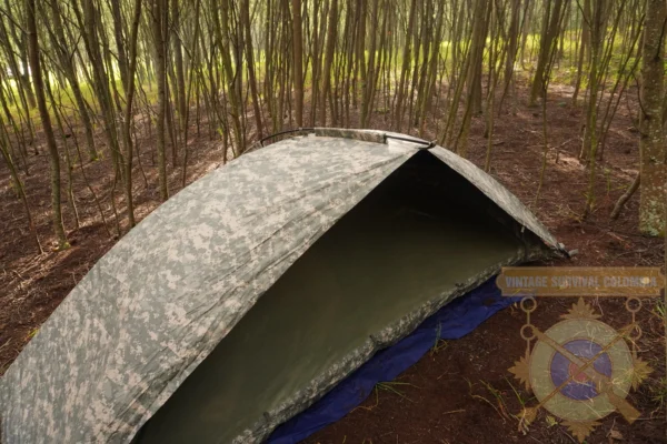 Carpa Americana ICS ORC Industries