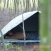 Carpa Americana ICS ORC Industries
