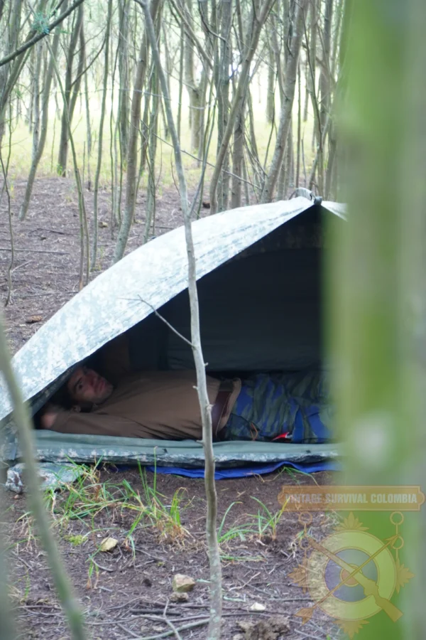 Carpa Americana ICS ORC Industries