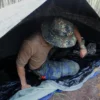Carpa Americana ICS ORC Industries