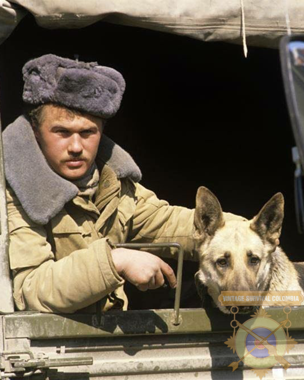 Gorro ushanka soviético URSS con cucarda