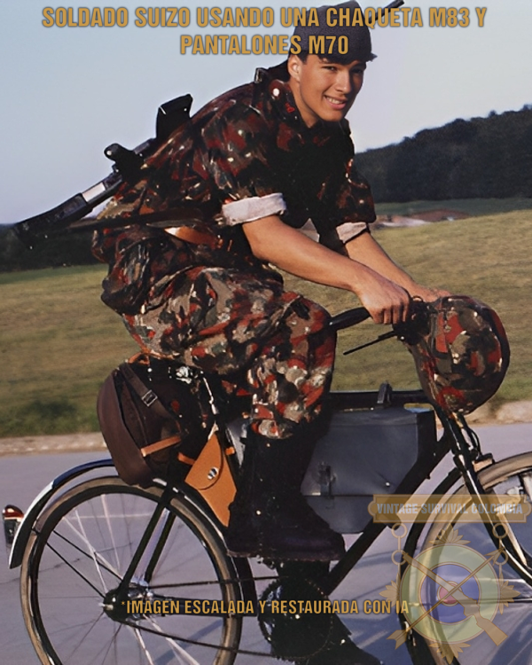 Chaqueta suiza M83 camuflaje leibermuster o alpenflage