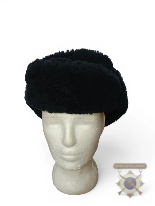 Ushanka o gorro de invierno holandés del Ministerio de Defensa
