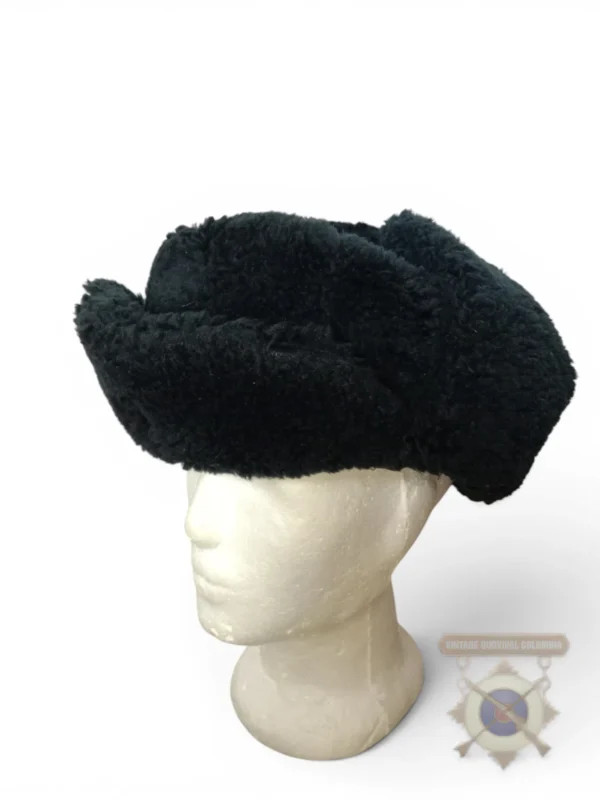Ushanka o gorro de invierno holandés del Ministerio de Defensa